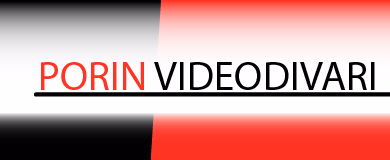 Porin Videodivari